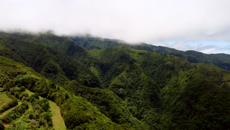Volando-Sobre-La-Vegetación-De-La-Isla-De-Madeira-En-Un-Día-De-Verano-Parcialmente-Nublado