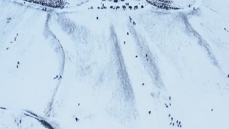 Local-people-sledding-down-snowy-hill-during-winter-in-Iceland,-aerial