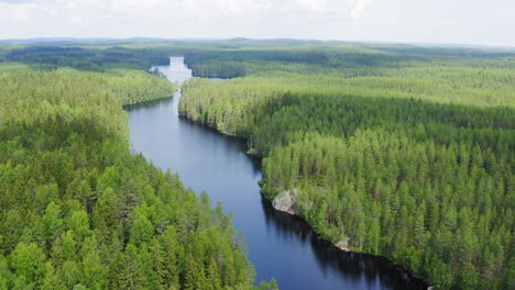 Drone-Point-Of-Interest-circling-shot-of-stunning-wilderness-with-untouched-forest-and-river