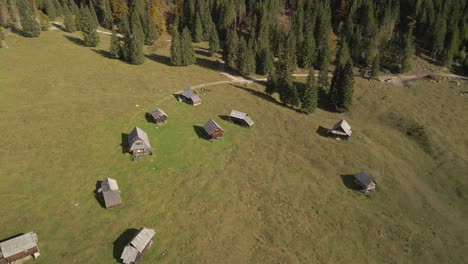 Planika-Blato-a-remote-deserted-wood-cabin-village-in-open-grass-land-in-Alps,-aerial