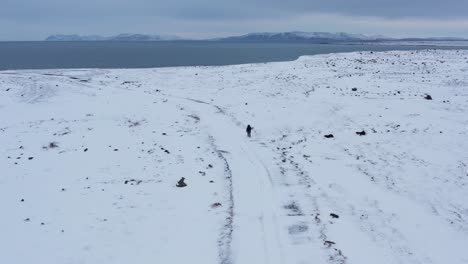 Lone-adventure-traveler-walking-on-snowy-path-towards-coastal-cliffs-on-moody-overcast-day,-aerial