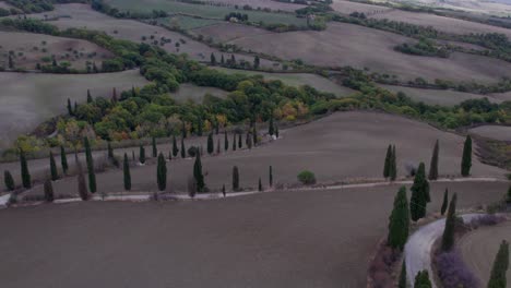Cypress-trees-along-scenic-farm-road-going-up-hill-with-old-estate,-Tuscany,-aerial