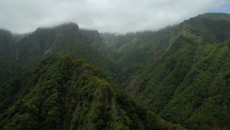 Deep-inside-Madeira-Island's-lush-green-forest-areas-on-a-cloudy-summer-day