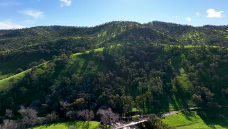 Aerial-view-of-Oak-trees-on-green-mountain-along-hiking-trails-at-Round-Valley-Regional-Preserve,-Brentwood-California