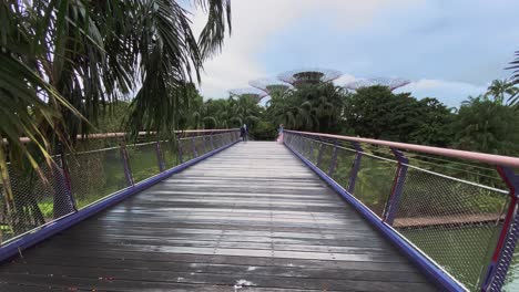 Puente-De-Madera-En-Los-Jardines-Junto-A-La-Bahía-En-Singapur-Casi-Vacío-Debido-Al-Brote-De-Coronavirus---Tiro-Panorámico