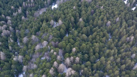 drone-flying-above-the-mountains-during-winter,-lateral-movement-pointing-down-showing-a-forest
