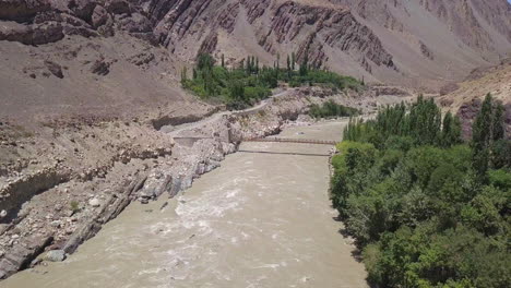 Muddy-Water-Flowing-At-Zanskar-With-Poplar-Trees-Growing-On-The-Edge-Of-The-River-In-Leh-Ladakh,-India