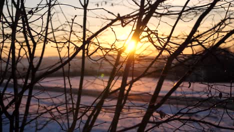 Beautiful-winter-Sunset-is-shining-through-tree-Branches-without-leafs