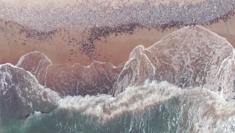 High-aerial-looking-down-at-waves-crashing-on-an-abandoned,-pinkish-red-beach