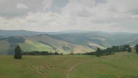 Aerial-view-of-a-countryside-with-mountains-and-sheep-grazing