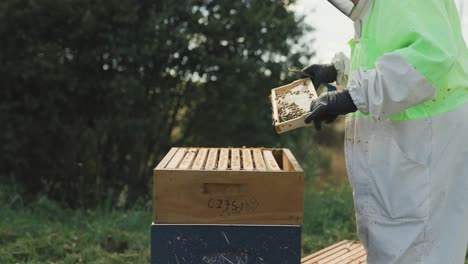 Beekeeper-in-protective-suit-inspecting-honey-frame-from-Langstroth-hive