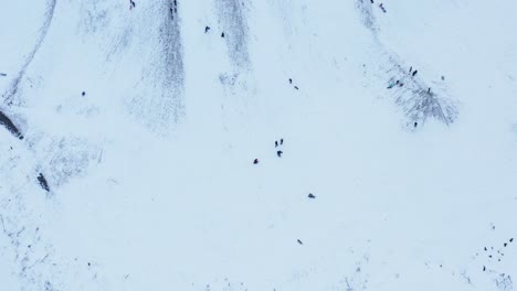 Leute,-Die-Auf-Traditionellen-Schlitten-Schneebedeckte-Hügel-Hinunterrutschen,-Winteraktivität,-Luft