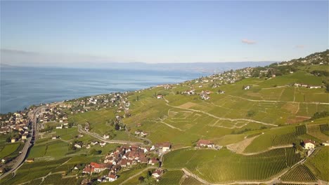 drone-shot-flying-over-the-grape-fields-of-Lavaux-Oron,-Wallis-Switzerland-with-lake-Geneva-in-the-background-in-4k