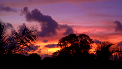 Neigen-Sie-Den-Erstaunlichen-Orangefarbenen-Und-Rosafarbenen-Sonnenuntergang,-Dramatische-Baumsilhouetten-Mit-Bewölktem-Himmel