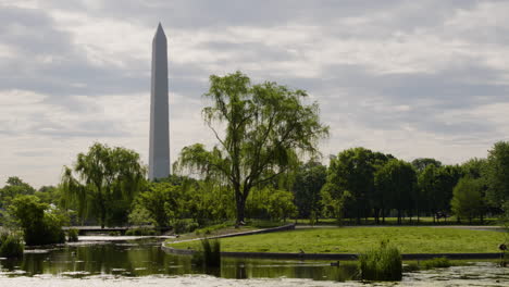Side-view-of-Washington-Monument-Obelisk-from-National-Mall-Park,-US