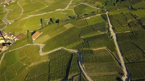 Drone-shot-slow-camera-tilt-up-over-the-grape-fields-of-Lavaux-Oron,-Wallis-Switzerland-in-4k
