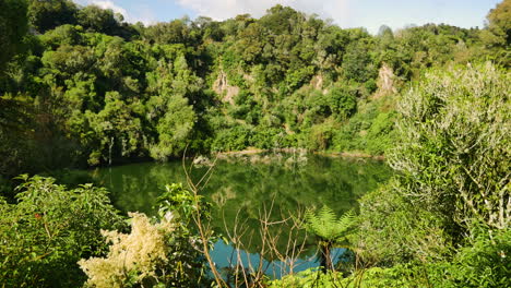 Wide-shot-of-tropical-Lake-surrounded-by-green-forest-trees-and-plants-during-sunny-day---Waimangu,New-Zealand