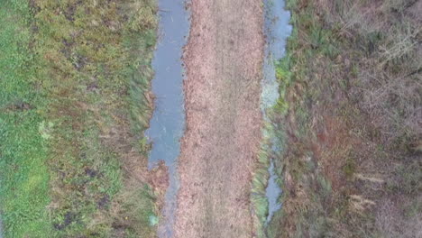Topdown-droneshot-in-forest-with-small-river-running-trough-landscape