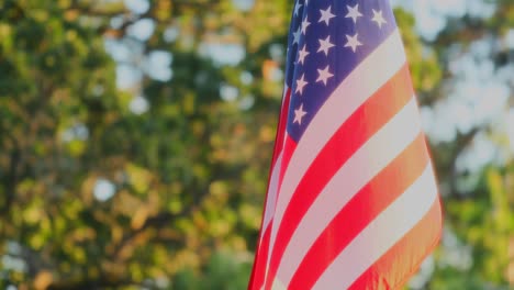 Close-Up-Of-American-Flag-Waving-With-Wind-With-Trees-In-Blurry-Background
