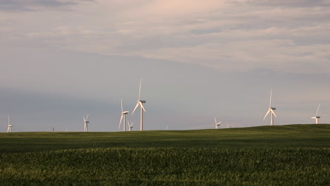 Perfect-static-shot-of-distant-windmills-creating-clean-energy,-battling-climate-change,-wind-power,-soft-light-on-open-grass-field