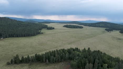 Aerial-view-of-a-grassland-with-many-pines-in-a-camping-area-of-Arizona