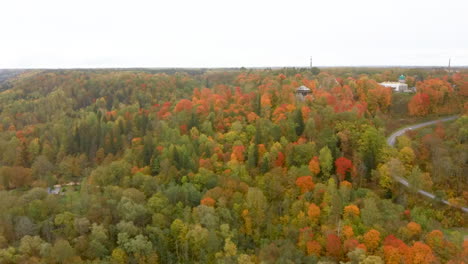 Autumn-Landscape-of-the-Autumn-Bright-Multi-colored-Trees,-Green,-Orange-and-Reddish-Tint