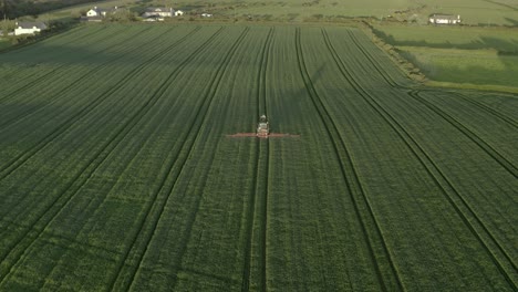 Long-shadow-aerial-of-tractor-on-vibrant-green-field-spraying-crop