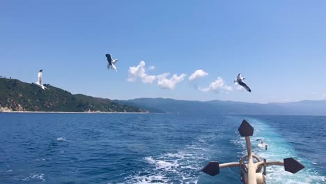 Flock-of-friendly-seagulls-following-back-of-sailboat-and-closeup-of-large-iron-drop-anchor-at-the-back-of-sailing-ship-in-slow-motion-in-4k-in-Sithonia-on-Mediterranean-sea