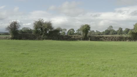 POV-aerial-flyover-of-hedge-fenced-green-pasture-land-in-Ireland