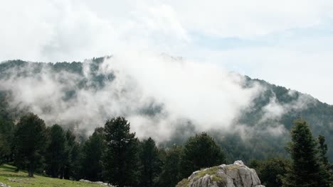 Nubes-Blancas-Moviéndose-Sobre-El-Exuberante-Bosque-De-Pinos-En-La-Montaña---Toma-Completa-En-Cámara-Lenta