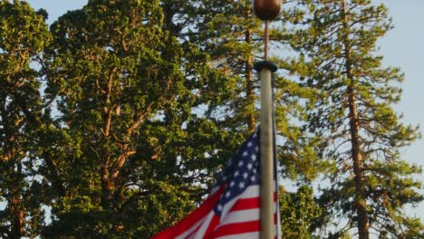 Bandera-Estadounidense-Ondeando-En-Un-Asta-De-Bandera-Con-árboles-En-Un-Fondo-Soleado