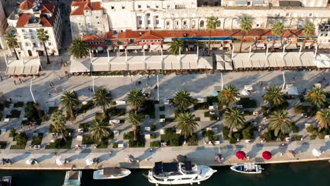 Split-Main-Waterfront-Walkway,-Palms-And-Architecture,-Dalmatia,-Croatia---aerial-top-down