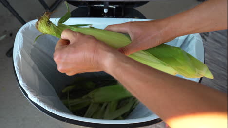 Sweet-corn-getting-husked-and-strings-of-silk-removed-from-cob