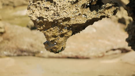 Agua-Goteando-De-La-Base-De-Una-Formación-Rocosa-De-Piedra-Arenisca-En-Una-Playa-Costera