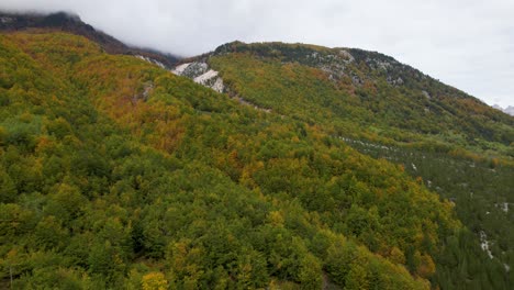 Berghang-Bedeckt-Mit-Grüngoldenem-Laub-Des-Waldes-Im-Herbst-Unter-Wolken
