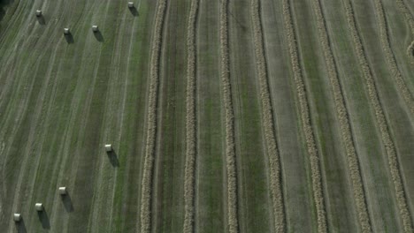 Quick-aerial-across-hay-field,-half-in-swath-rows,-half-in-round-bales