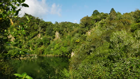 Panning-shot-of-natural-lake-surrounded-by-green-trees-growing-on-hill-in-Waimangu-during-summer