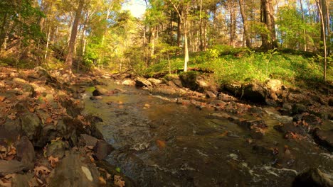 Time-lapse-of-a-beautiful-woodland-stream-during-spring-in-the-Appalachian-mountains