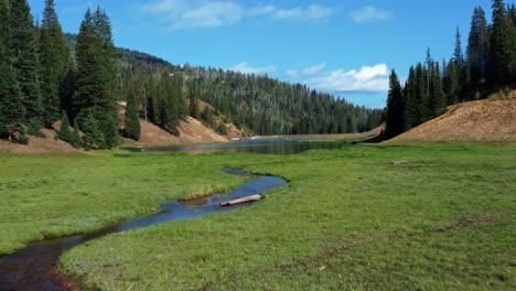 Beautiful-flying-in-aerial-drone-shot-of-a-stunning-nature-landscape-of-the-Anderson-Meadow-Reservoir-lake-up-Beaver-Canyon-in-Utah-with-large-pine-tree-forest,-a-small-stream,-and-a-grass-field