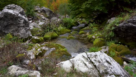Stream-with-clear-water-falling-from-mountain-across-mossy-stones-and-forest-trees-at-Autumn