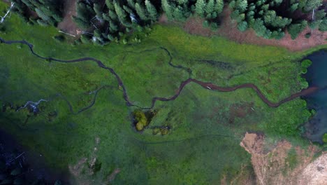 Beautiful-aerial-drone-top-bird's-eye-view-shot-of-a-small-wild-stream-surrounded-by-a-field-of-grass-that-leads-into-the-Anderson-Meadow-Reservoir-lake-up-Beaver-Canyon-in-Utah-on-a-warm-summer-day