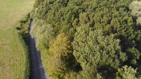 Flying-over-road-side-forest-trees-at-Suffolk,-England---aerial-drone-establishing-shot