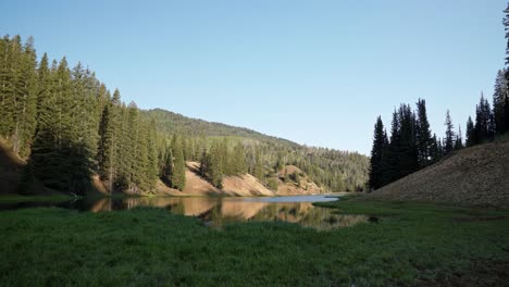 Tilt-up-shot-of-a-stunning-nature-landscape-view-of-Anderson-Meadow-Reservoir-up-Beaver-Canyon-in-Utah-with-a-field-of-grass,-large-pine-trees-on-all-sides-and-clouds-on-a-warm-sunny-summer-day
