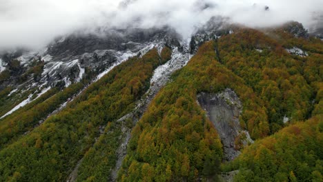 Schneebedeckte-Und-In-Nebel-Und-Nebel-In-Den-Alpen-Verborgene-Bergspitzen,-über-Dem-Bunten-Wald-Mit-Hohen-Bäumen