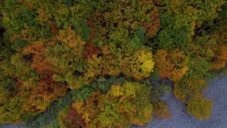 Autumn-colors-of-forest-trees-near-a-riverbed-in-valley-of-Alps-in-Albania,-aerial-shot