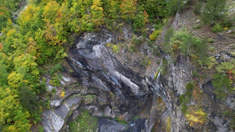Waterfall-on-caved-rocky-slope-of-Alpine-mountain-surrounded-by-golden-forest-in-Autumn