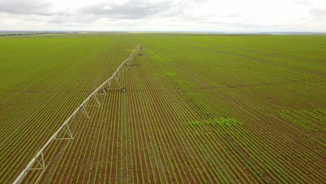 Fliegen-über-Ein-Getreidefeld-In-Südamerika-Mit-Einem-Langen-Bewässerungssystem,-Das-über-Das-Feld-Reicht