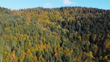 Beautiful-aerial-view-of-autumn-foliage-forest-during-fall-season-in-mountain