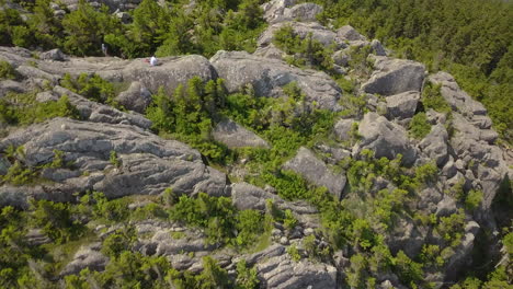 Drone-view-of-a-rocky-cliff-with-pine-trees-growing-on-top