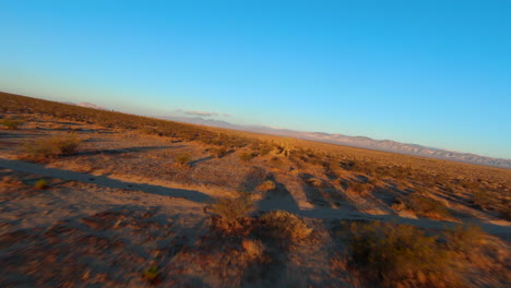 Early-morning-flight-over-the-golden-landscape-of-the-Mojave-Desert-and-Joshua-trees---first-person-aerial-view